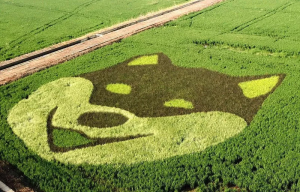 每日一景点:江浙短途游王者就是它!多次上央视,《七月与安生》还在这取过景呢~