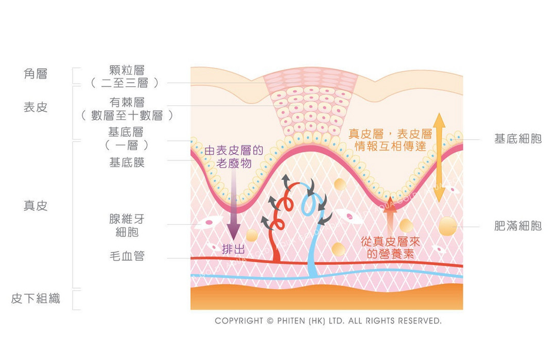 入秋的男人是老菜梗？！树要皮人要脸，汉子也得涂抹打点