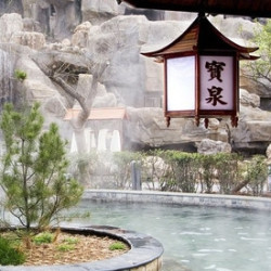 河北白鹿温泉酒店1晚+双早（可加购温泉票）