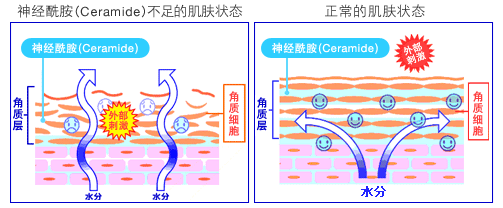 入秋的男人是老菜梗？！树要皮人要脸，汉子也得涂抹打点