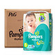 帮宝适（Pampers）绿帮纸尿裤S82*4 适用4-8kg