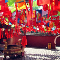 周边游：北京-山西五台山2天1晚祈福游（宿景区内）