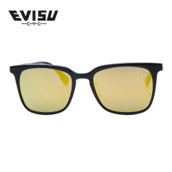 EVISU  2021 男士太阳镜
