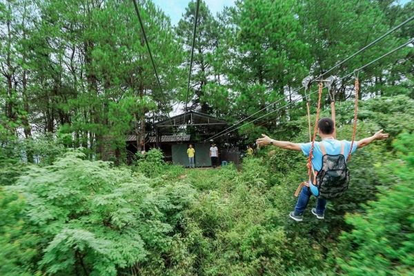 千亩森林童话,刷爆朋友圈的亲子野奢树屋!安徽齐云山自由家树屋世界1晚套餐