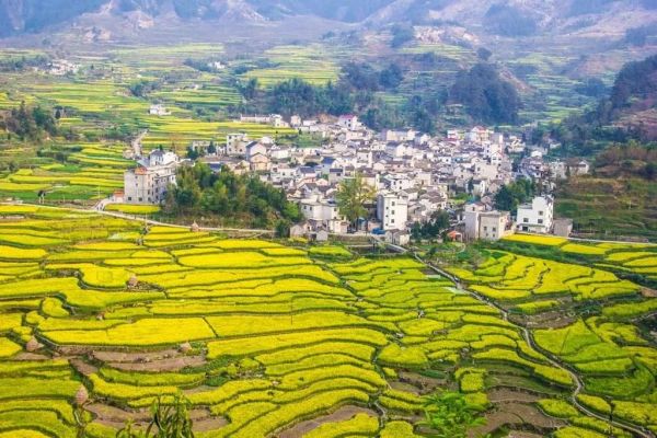 千亩森林童话,刷爆朋友圈的亲子野奢树屋!安徽齐云山自由家树屋世界1晚套餐