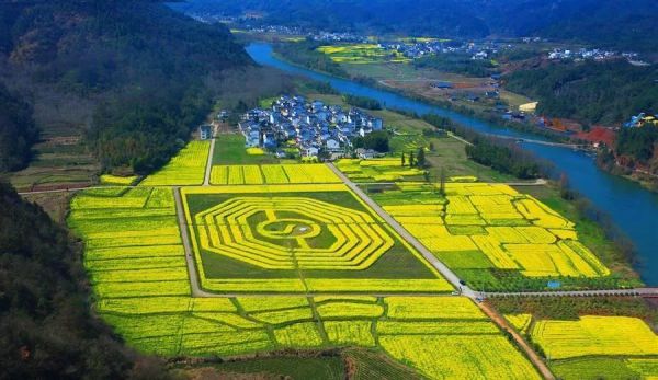 千亩森林童话,刷爆朋友圈的亲子野奢树屋!安徽齐云山自由家树屋世界1晚套餐
