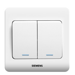 SIEMENS 西门子 开关插座 二开单控带荧光面板 86型暗装面板 远景雅白色