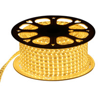 雷士 NVC   Lighting照明led灯带灯条 高亮贴片暗槽灯软灯带 2835节能柔光客厅灯带 黄光