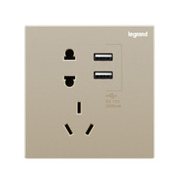 legrand 罗格朗 开关插座面板 仕典米兰金大面板五孔带双口USB插座（新旧两款随机发）