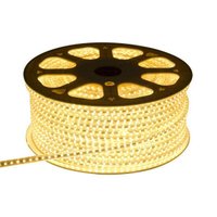海德照明 HAIDE LIGHTING LED高亮灯带 高压软灯带 暖光3000K(100米装)
