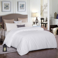 太湖雪 被芯家纺 100%桑蚕丝被 优质长丝填充 灯笼格全棉提花 春秋被 白色 净重2斤 200*230cm