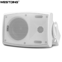 威斯汀（WESTDING）B05 音响 音箱 高保真壁挂式喇叭会议式音响（白色）
