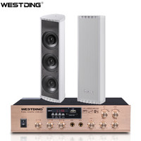 威斯汀(WESTDING)ZH2730 定压防水壁挂音柱 音响套装 公共广播背景音乐音箱