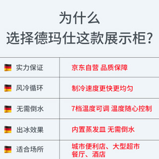  德玛仕（DEMASHI）展示柜 商用 冷藏柜 冰柜冰箱展示柜 饮料柜水果保鲜柜 啤酒柜 冷饮柜商用风直冷 LG-260F