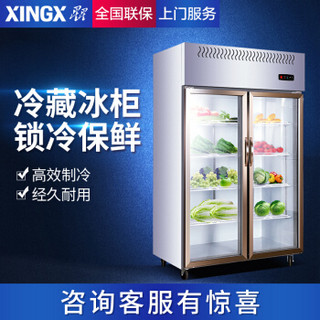星星（XINGX） 880升 商用双门厨房冰箱 全冷藏立式冰柜 玻璃门展示柜 不锈钢保鲜柜 饭店酒店冷柜 BC-880E