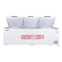  星星（XINGX） 1330升 商用大冷柜 卧式冷柜 数码温显 冷藏冷冻转换柜 商超冰柜 单温单箱 BD/BC-1330JA