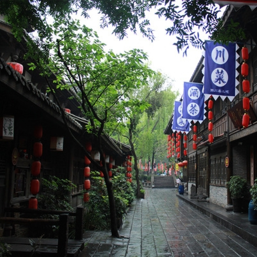 成都154路美食公交车,串起了成都最地道的苍蝇馆子。快上车,往美食开!