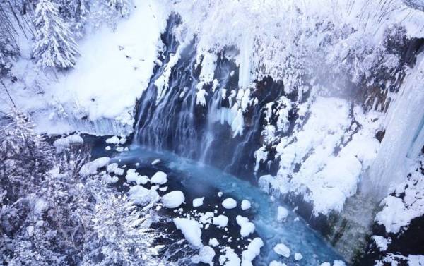 日本北海道札幌 旭山动物园 美瑛青池1日游 什么值得买