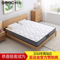 极客 床垫 席梦思弹簧床垫 椰棕床垫 棕垫 软硬适中D1  1.8*2*0.21米