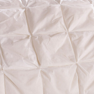 pierre cardin 皮尔·卡丹 长方形羽绒枕 70*43cm 白色 一对装