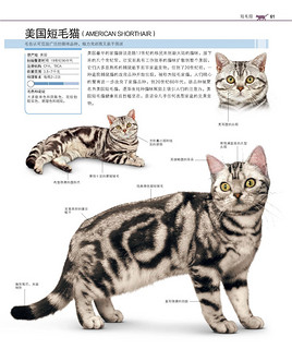  《DK 世界名猫驯养百科》