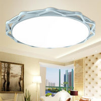 -lighting 雷士照明 NVC Lighting  Lighting照明 ENPX9007 LED吸顶灯 圆形卧室书房阳台现代时尚吸顶灯具 蓝色 24W