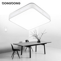 DongDong 東東 D0064-X/30W/TR LED灯具灯饰 无极调光调色