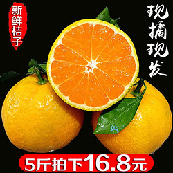 蓝君 蜜桔 2.5kg *2件