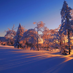 亚布力滑雪，泡雪地温泉！北京-哈尔滨+亚布力+雪乡双卧5天4晚跟团游