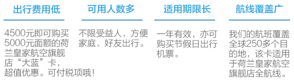 荷兰皇家航空 大蓝卡（面额5000元）全年可用 全航线通用