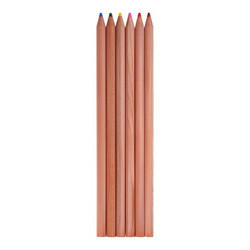 TANOSEE 日本TANOSEE学生木纹彩色美术绘图绘画铅笔 6色套装TS-SCP6C