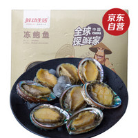 鲜动生活 冷冻九孔鲍鱼 去肚去齿净壳 210-300g 8粒 盒装 火锅食材 海鲜水产