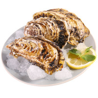 渔传播FISHERY PROPAGATION 法国进口鲜活刺身生蚝 120-150g 6只 1份 盒装 海鲜水产 烧烤食材