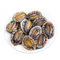 Gfresh 鲜活鲍鱼 500g 5-6头 1份 海鲜水产