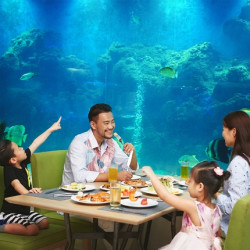 三亚华宇亚龙湾迎宾馆2-3晚亲子套餐 早订免费升级房型