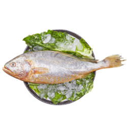 简单滋味 东海深海黄花鱼 400g *5件