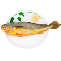渔传播FISHERY PROPAGATION 福建闽东冰鲜大黄鱼 1.5kg 3条装深海鱼海鲜水产鱼类