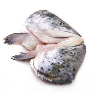 Gfresh 智利三文鱼头450-550g 1个 海鲜水产