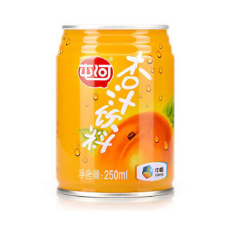 屯河 中粮屯河杏汁听装250ml