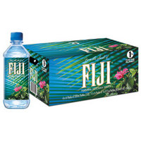 FIJI WATER 斐济 天然矿泉水 500ml*24瓶 +凑单品