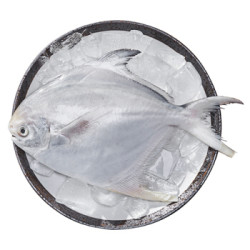 简单滋味 冷冻东海鲳鱼 银鲳 400g 2条 自营海鲜水产 *5件
