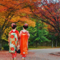 国航/南航直飞+市区酒店！上海-日本大阪5天4晚自由行