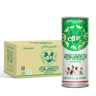 viee 唯怡 花生奶 245ml*12罐 植物蛋白饮料整箱装 比豆奶香浓