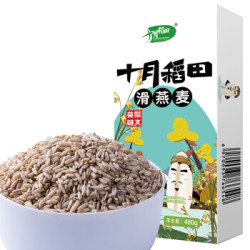 十月稻田 滑燕麦米 480g *16件