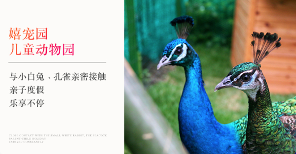 杭州千禧酒店2晚连住套餐(含双早+午餐/晚餐+minibar免费+免费骑行2小时)