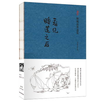  《看见睡莲之后》