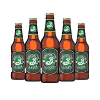 BROOKLYN 布鲁克林 Lager精酿啤酒  组合装 355ml*6瓶 *2件 +凑单品