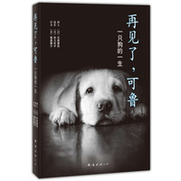 《再见了,可鲁:一只狗的一生》(2013年版)