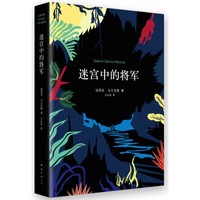 《迷宫中的将军》