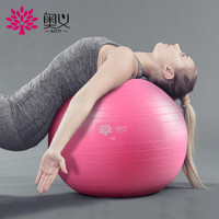 奥义瑜伽球 55cm加厚防滑健身球 专业防爆材质男女通用孕妇助产弹力球 赠全套充气装备 粉色